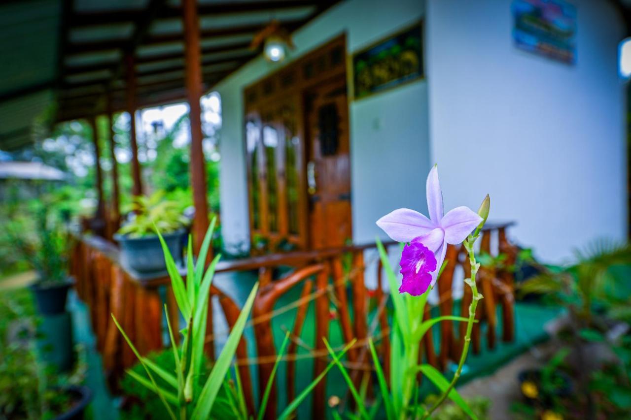 Astral Zone Cottage ELLA Esterno foto